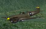 CFS2
            PACIFIC GHOSTS CURTISS P-40N-40-CU A29-1140 SV-G textures only