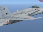 FSX Acceleration EF-18 ALA 12 Textures