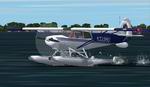 FS2002
                  Aviat Husky A1-B Amphibious
