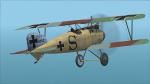 Albatros D.III