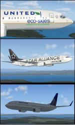 FSX United Boeing 737-800 Textures Set