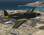 FSX/FS2004 Mustang P51 MkI