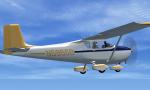 FSX/P3D Cessna 172 Aunt Bee's Solo textures