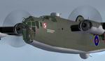 FS2004
                  Consolidated B-24D Liberator Polish Squadron Package.