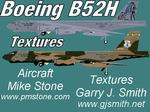 FS2004
                  B-52H ANG Textures