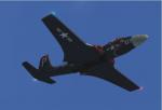 Banshee (No Tanks) update for FSX