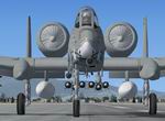 FSX/FS2004                   A-10 Thunderbolt II Barksdale AFB, LA Dogpatchers Textures only
