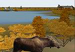 FS2000
                  Scenery - Bethel, Alaska (PABE)