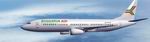 FS2004
                  Bulgaria Airlines Boeing 737-400 Default Textures only