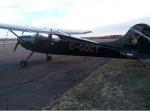 Cessna 170B Black With Playboy Bunny