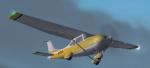 Cessna 182s Goldenrod Textures
