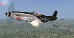 P-51d
                  Temptation