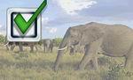 Elephant Rescue 1
