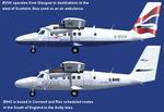 FSX
                  De Havilland DHC6-300 Twin Otter Two aircraft package