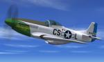FSX P-51 Aces: Ray Wetmore