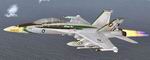FSX
                  Acceleration Pack\Captain Sim Xload F/A-18 VFA-195 Dambusters
                  USN textures only