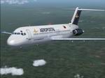 FS                   2004 McDonnell Douglas DC-9-32 Aeropostal YV141T Textures only.