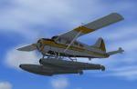 Default DeHavilland Beaver DHC2 Texture Fix