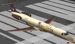 FS2002
                  ERJ-145 - TransAfrica Metallic colours of Africa