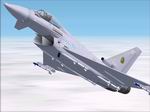 FS2002
                  Eurofighter Typhoon Textures - Fictional 19Sqn Markings 