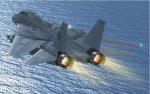 Update for FSX of F-14D