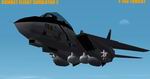 F-14A
            For MS CFS2.
