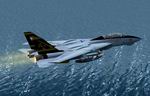 FS2004
                    Dino Cattaneo's F-14 Update