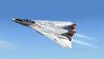 FS2004
                    Update for Kazunori Ito's F-14A-D aircraft