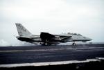 Iris F-14A VF-74 Bedevilers Clean Textures