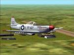 New Skin for Alpha_TR P-51D