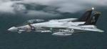 FS2002
                    GRUMMAN F-14 TOMCAT 2 versions in one !!