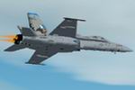 FS2004/2002
                  McDonnell Douglas F/A-18C Hornet. VMFA-225 Vikings Squadron