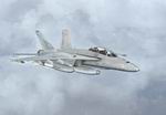 FS                   2004 Team FS KBT F18F Super Hornet WarHawks Package