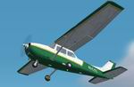 FS2004/2002 
                  White and Green textures only for Cessna 172 Skyhawk.