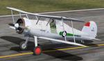 FSX/FS2004 Gloster Gladiator 