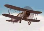 CFS2
            ONLY Gloster Gladiator Mk1.