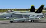 FSX                   F/A-18E Super Hornet VFA-105 Gunslingers Textures Only