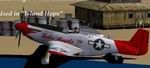 CFS2/FS2000
            P-51D Mustang Bomber Escort