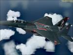 Iris F15 Eagle Polish Air Force textures 