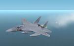 FS2002
                  JASDF F-15J TRDI Edition 