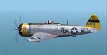 FSX/FS2004/CFS2 P-47D Thunderbolt Bare Metal Textures Sets