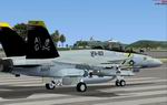 FSX/FS2004                   F/A-18F XO Jolly Rogers and VFA-143 F/A-18E CAG Pukin' Dogs'                   Textures only