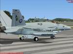 FSX/FS2004                   FA/18 Strike Fighter Squadron Superhornets of the USS Enterprise                   Textures only