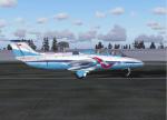 FSX/FS2004 L29 Russian Sky Knights Aerobatic Team Textures