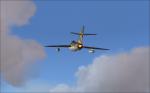 MiG-17F X for FSX/P3D