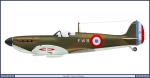 FSX A2A Spitfire MkI-II French Air Force 1940 Textures 