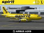 Airbus A319-132 Spirit Airlines