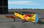 FS2004 US Navy PT-19 Textures