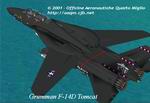 CFS2
            - Grumman F-14D Tomcat VX-9 Vampires