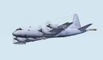 FS2002
                    Lockheed P-3 C Orion.